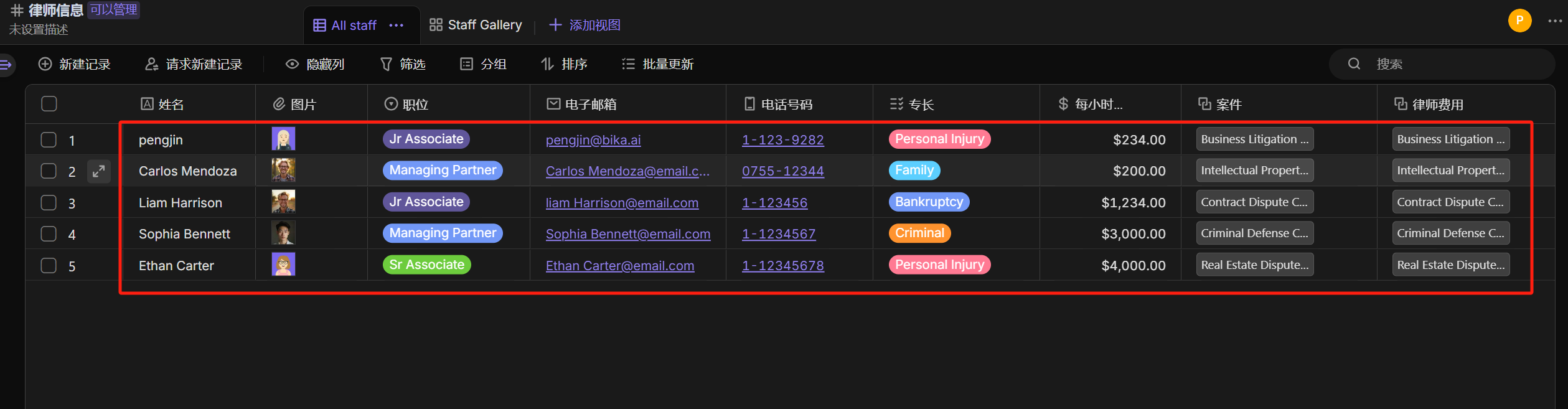律师信息