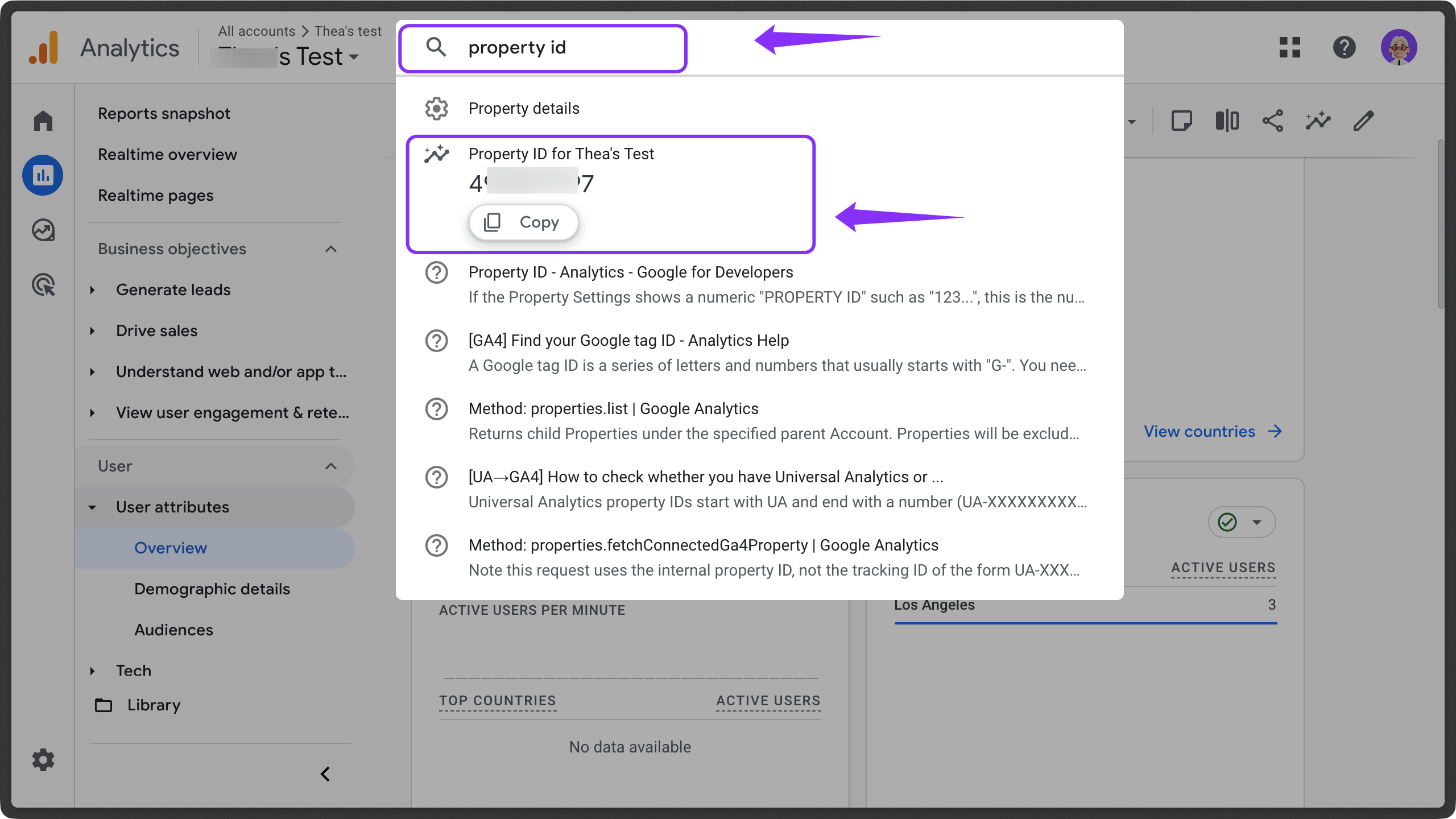 The Google Analytics settings page, with the Property ID highlighted for later use.